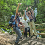 Group Traveling