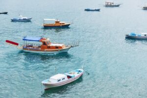 Fishing Charters
