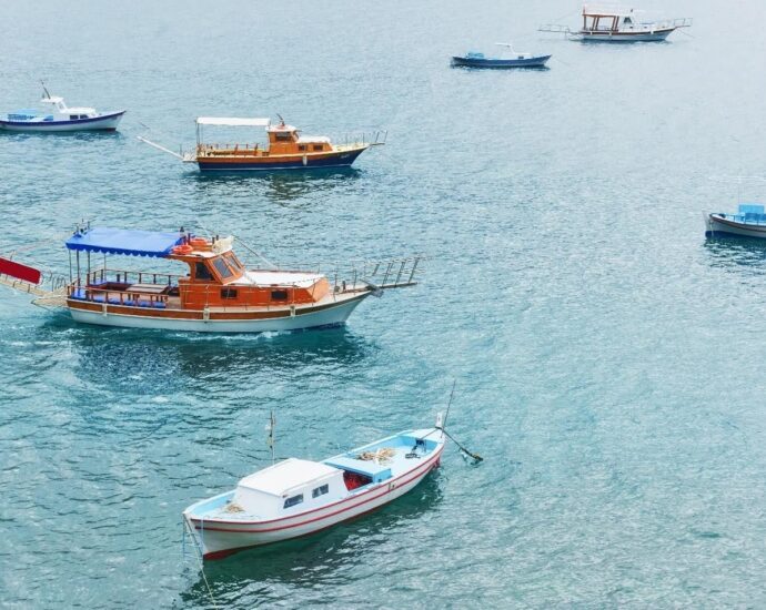 Fishing Charters
